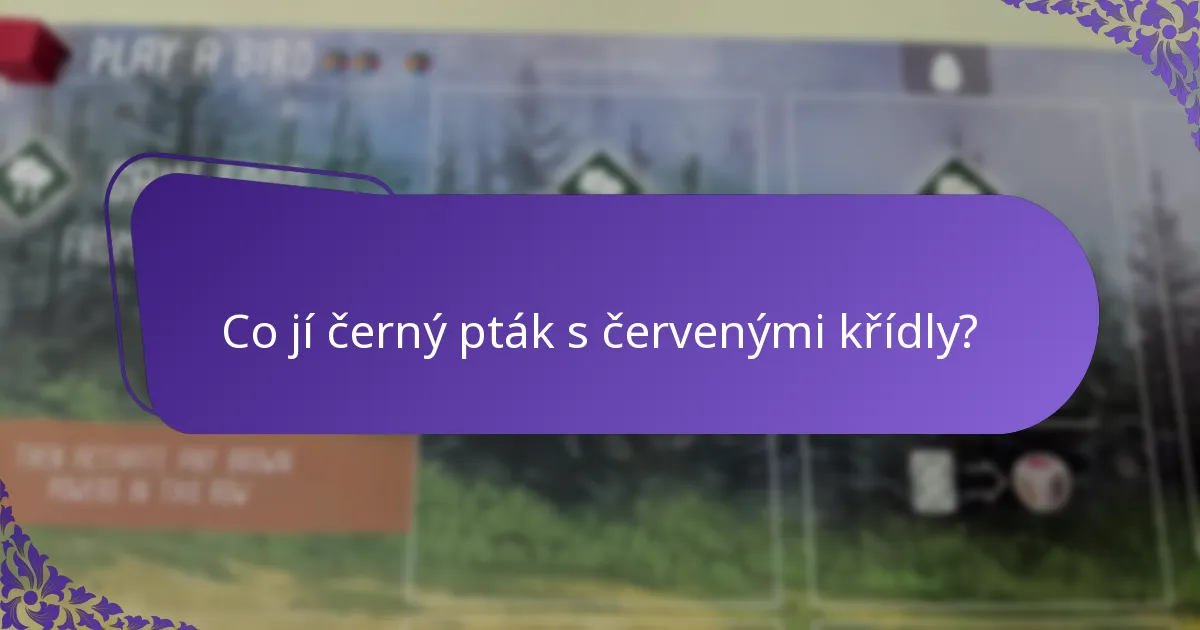 Jaké je prostředí černého ptáka s červenými křídly?