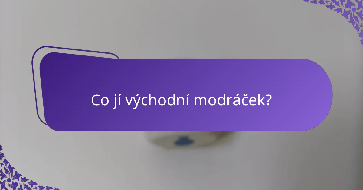 Jaký typ biotopu preferuje východní modráček?