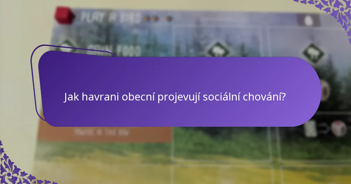 Kde žije havran obecný?