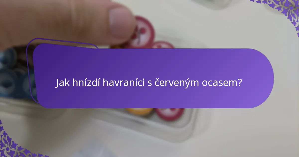 Kde žijí havraníci s červeným ocasem?