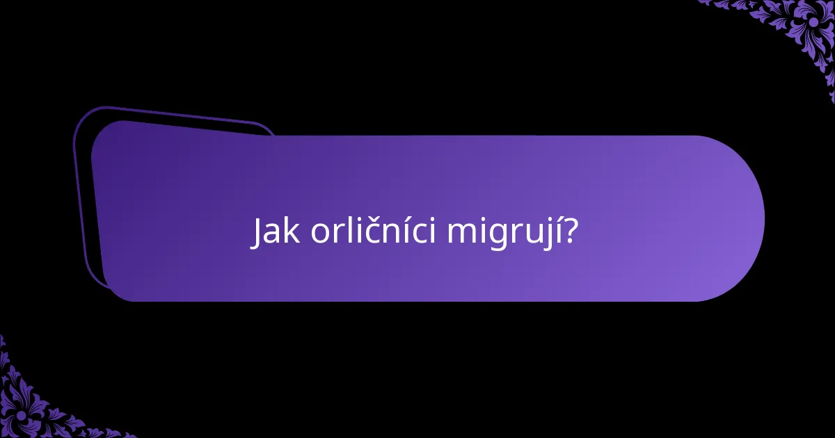 Jak orličníci migrují?