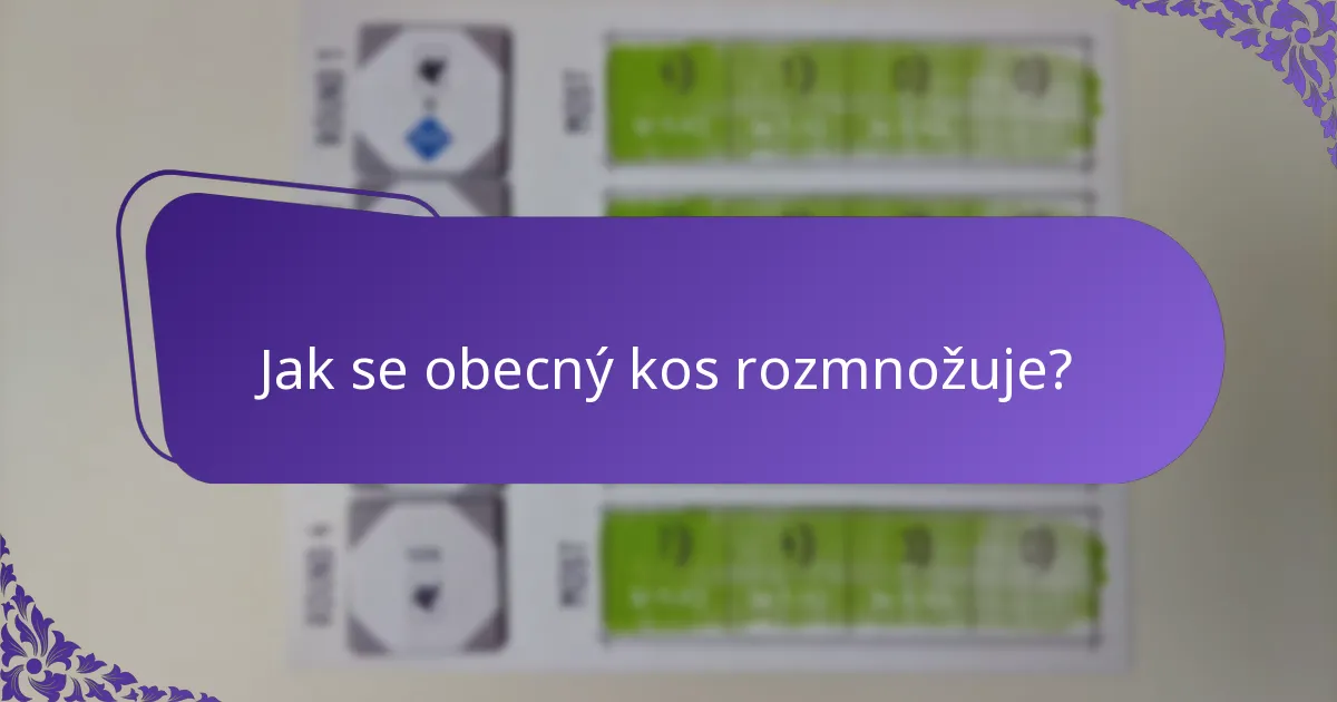 Kde se obecný kos obvykle vyskytuje?