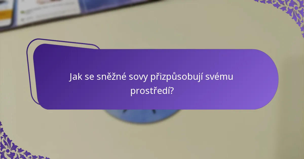 Co jedí sněžné sovy?