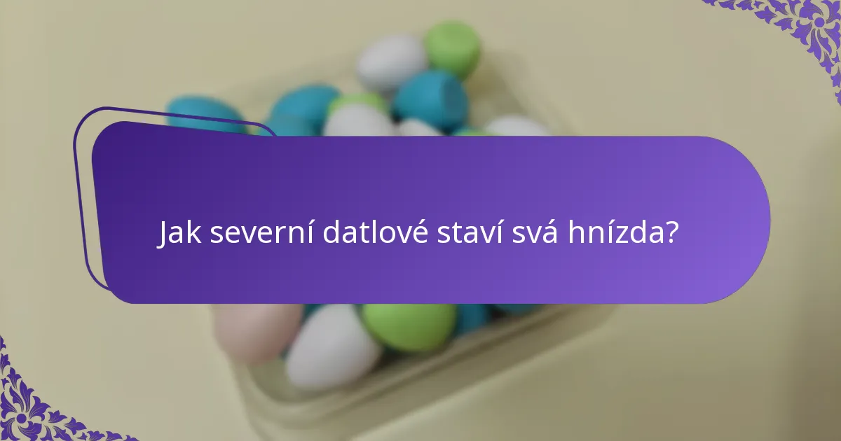 Jaký typ biotopu severní datel preferuje?