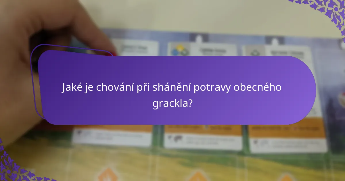 Jak se obecní gracklové přizpůsobují změnám v prostředí?