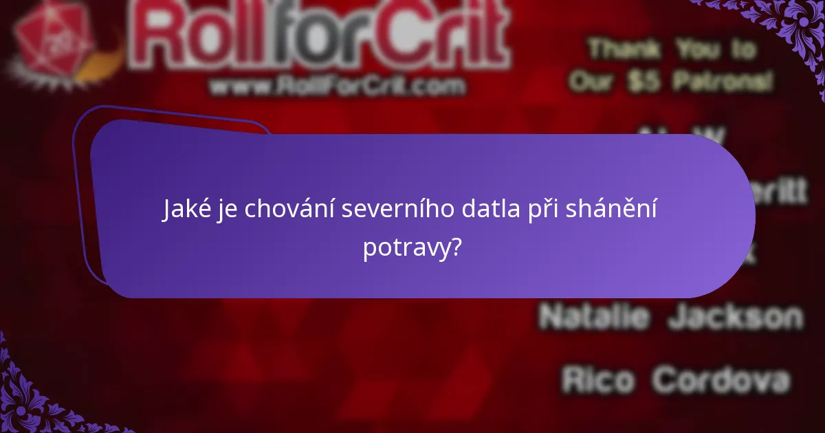 Jak severní datlové staví svá hnízda?