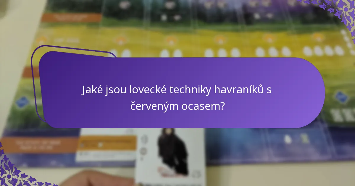 Jak hnízdí havraníci s červeným ocasem?