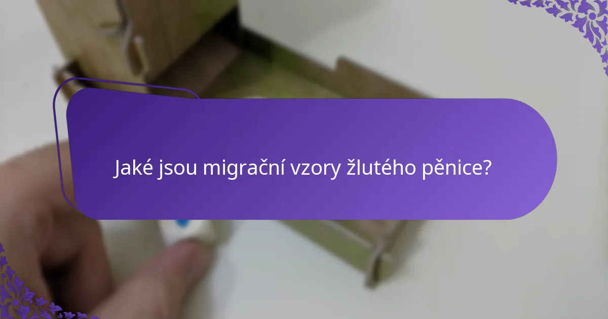 Jak ovlivňují migrační vzory populace žlutého pěnice?