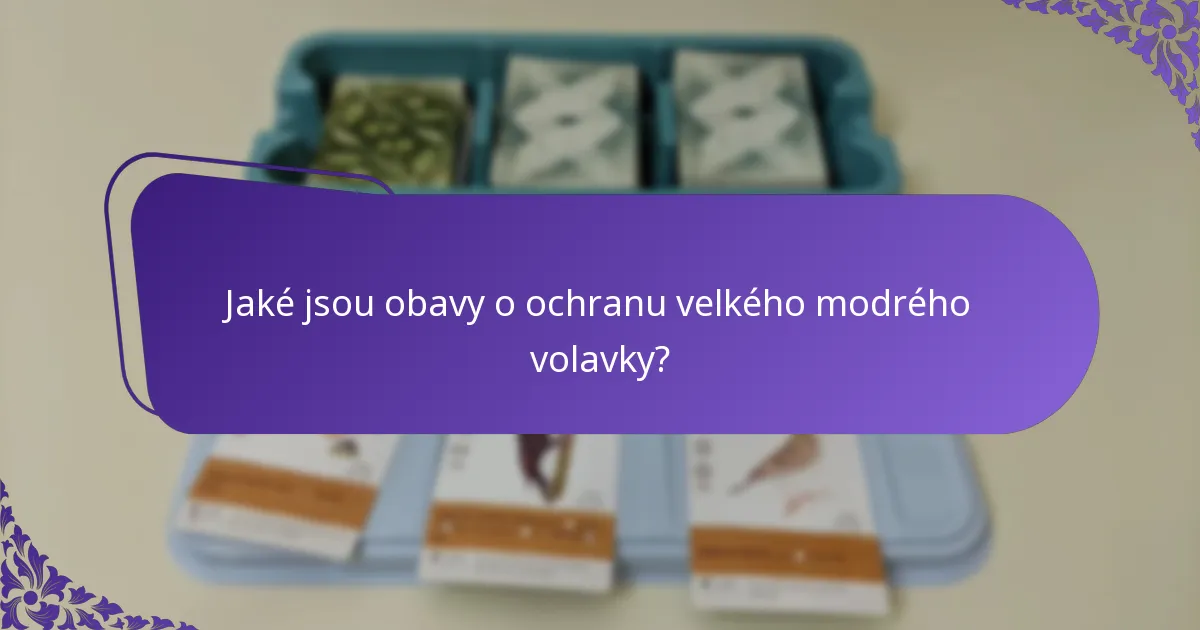 Jaké jsou obavy o ochranu velkého modrého volavky?