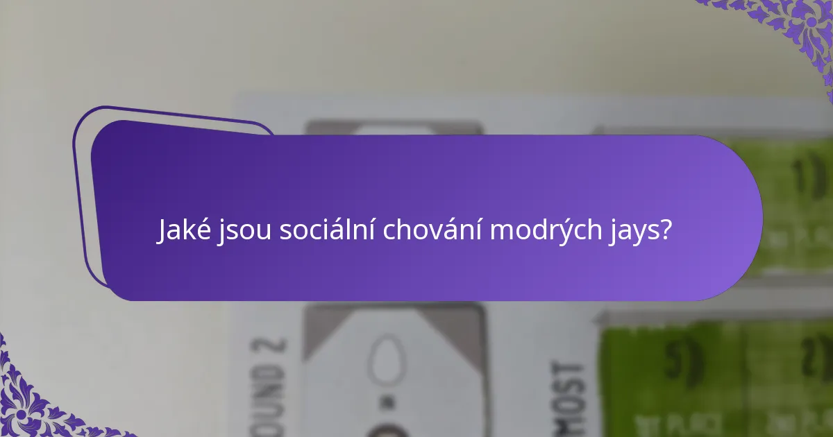 Jaké hrozby čelí modří jays ve svých prostředích?