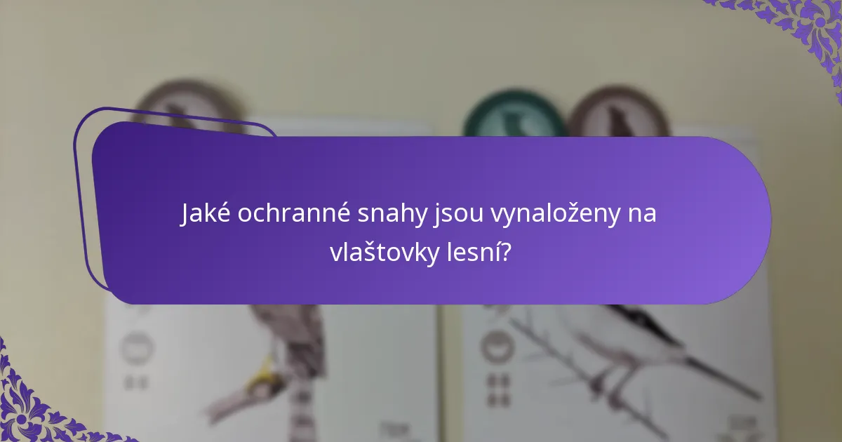 Jaké ochranné snahy jsou vynaloženy na vlaštovky lesní?