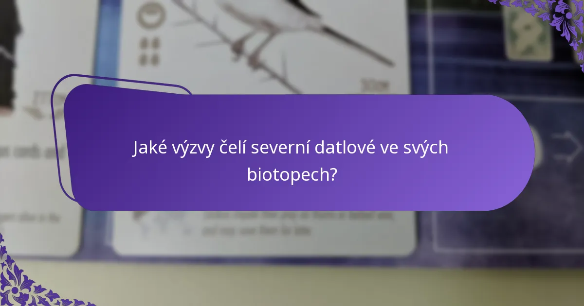 Jaké výzvy čelí severní datlové ve svých biotopech?