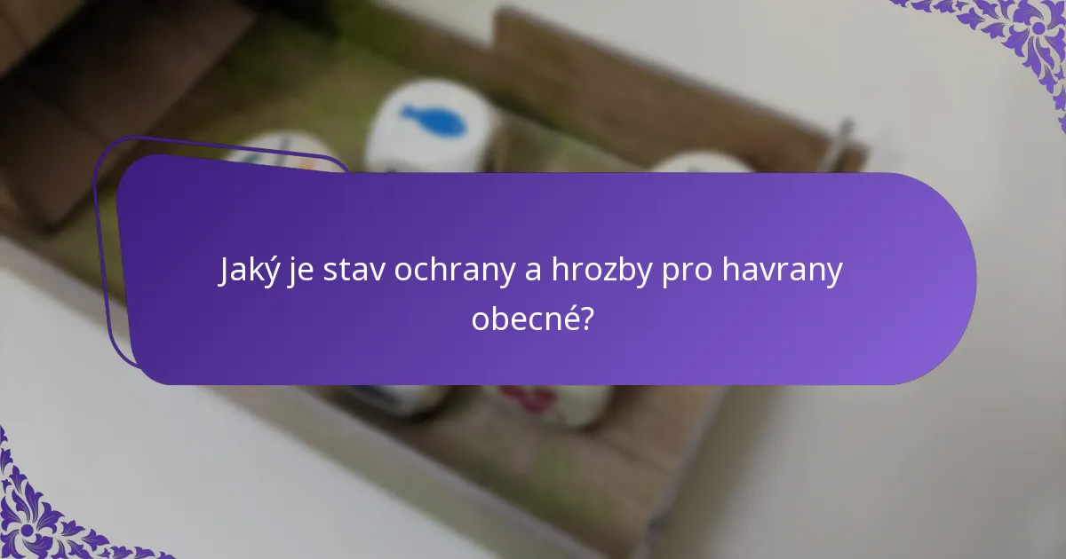 Jak se havrani obecní srovnávají s jinými krkavcovitými ptáky?