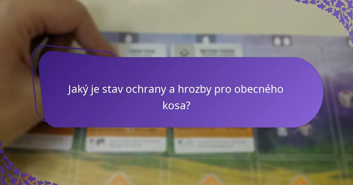 Jaký je stav ochrany a hrozby pro obecného kosa?